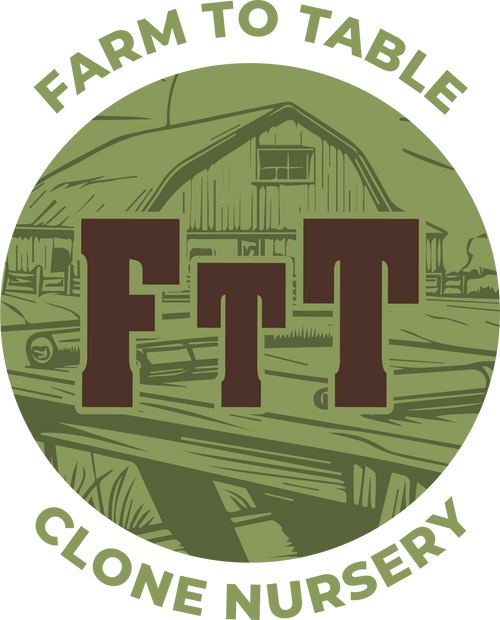 Farm to Table Clone Nursery